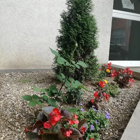 Beautiful Apartman Nis